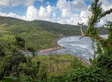 dominica/middleham-falls/restaurant/pagua-bay-bar-grill