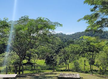 belize/mountain-pine-ridge-forest-reserve/restaurant/the-bluffs