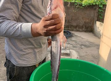 ghana/kintampo/restaurant/pak-catfish-grill