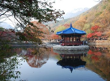 south-korea/naejangsan-national-park/restaurant/naejangsan