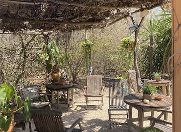 curacao/tera-kora/restaurant/the-best-smoothie-in-curacao