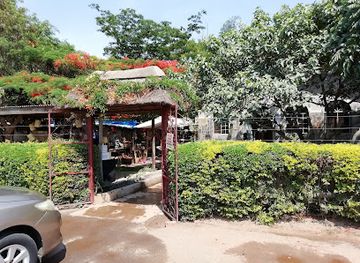 zambia/kabwe/restaurant/the-fig-tree-cafe