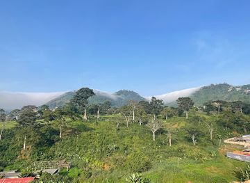 cameroon/mefou-national-park/restaurant/la-pizzeria-yaounde