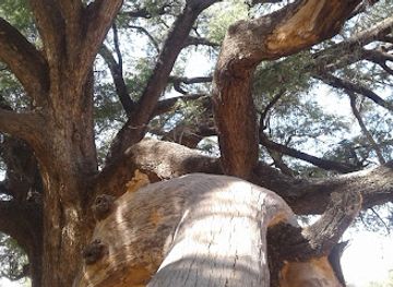 namibia/omaruru/restaurant/omaruru