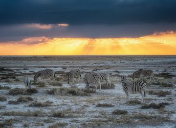 namibia/etosha-national-park/restaurant/namutoni-camp-restaurant