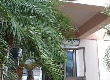 anguilla/north-hill/restaurant/macdonna-s