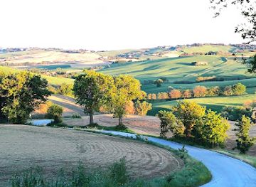 italy/marche/restaurant/tenuta-san-marcello