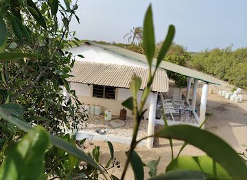 the-gambia/abuko-nature-reserve/restaurant/peace-of-mind-restaurant