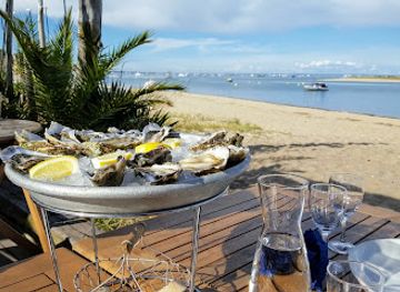 france/aquitaine-coast/restaurant/chai-bertrand