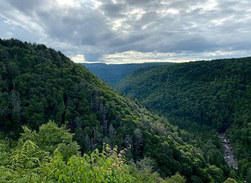 west-virginia/dolly-sods-wilderness/restaurant/the-smokehouse-at-blackwater-falls