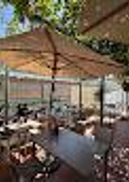 Tim's Terrace