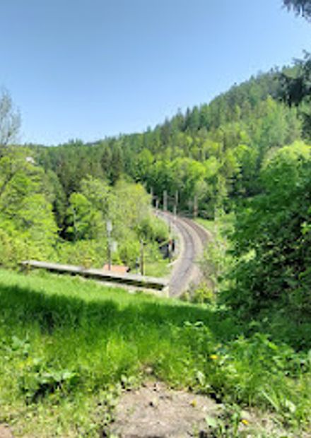 Hinterholz 9