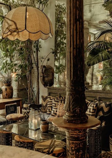 Ficus Bar