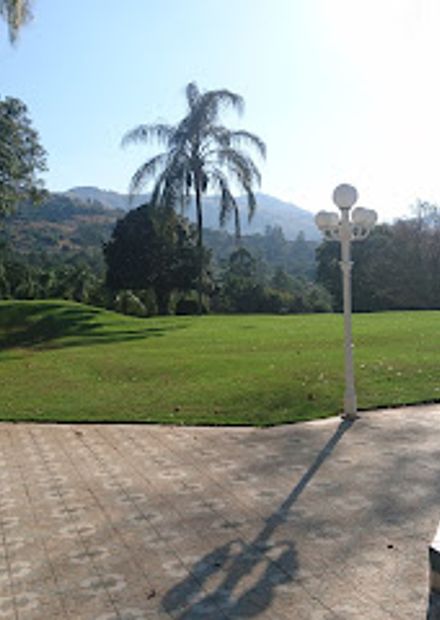 The Terrace