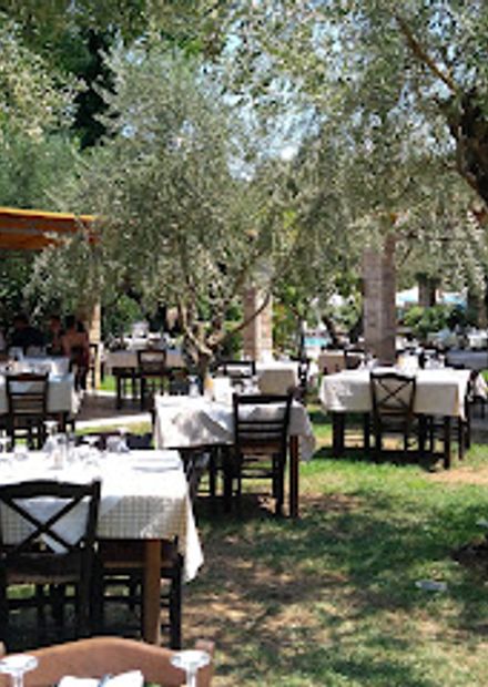 taverna the garden