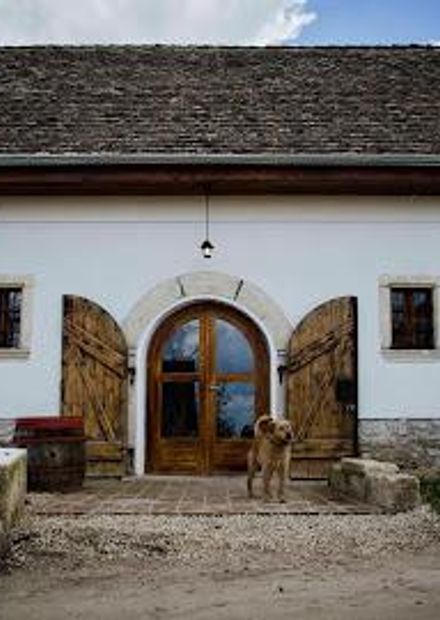 EtyekM. Winery Restaurant