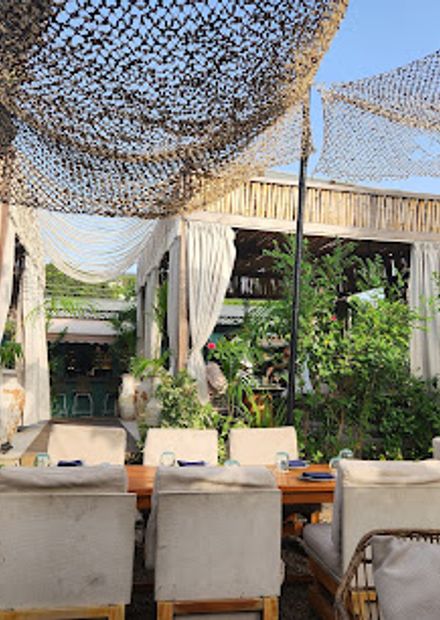 Vine Restaurant