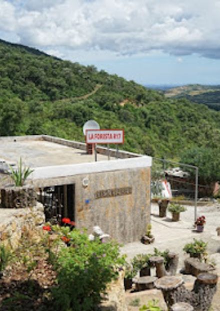 La Foresta R17