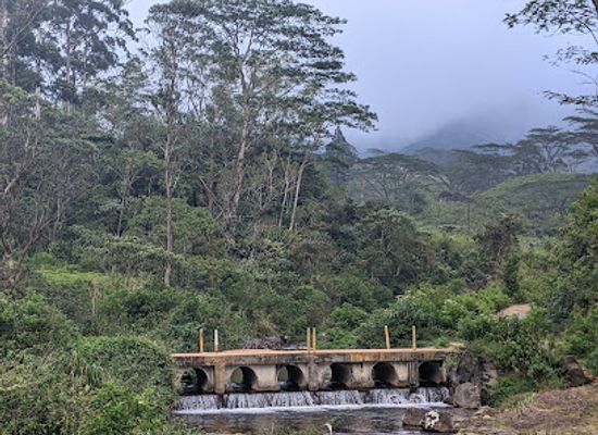 sri-lanka/knuckles-mountain-range/restaurant/trek-in-the-knuckles-mountain-range