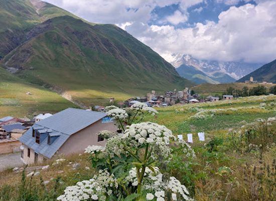 georgia/tusheti/restaurant/cafe-koshki