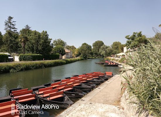 france/marais-poitevin/restaurant/la-pigouille