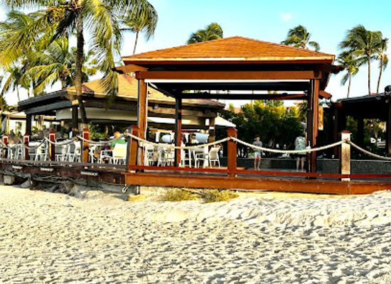 aruba/andicuri-beach/restaurant/red-parrot-restaurant