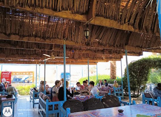 egypt/new-valley/restaurant/habou-garden