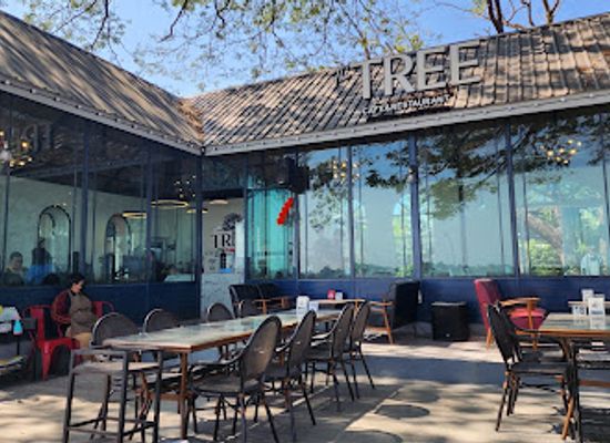 thailand/mekong-river-region/restaurant/the-tree-cafe-restaurant