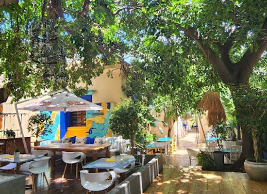 mozambique/maputo/restaurant/tree-house