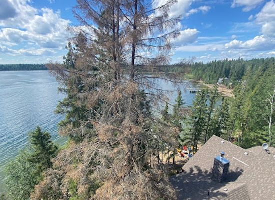 canada/peace-river-country/restaurant/emma-lake
