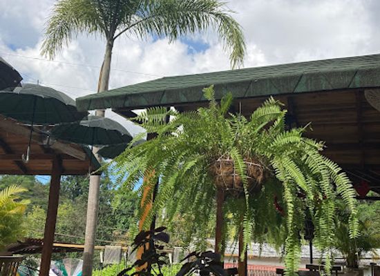 colombia/ciudad-perdida/restaurant/restaurante-arcadia