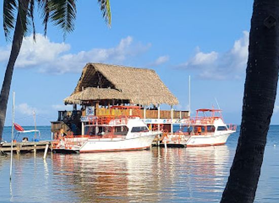 belize/lighthouse-reef-atoll/restaurant/303-belize-bar-grill