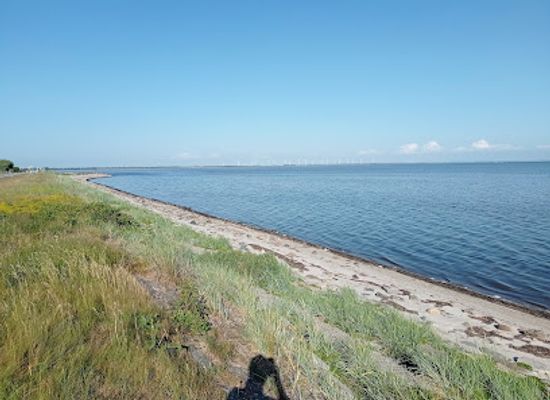 denmark/limfjord/restaurant/limfjorden