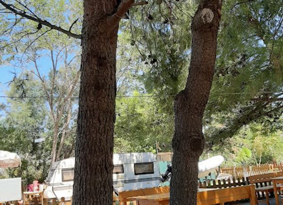 albania/lezhe/restaurant/bar-restaurant-camping-private-beach-more
