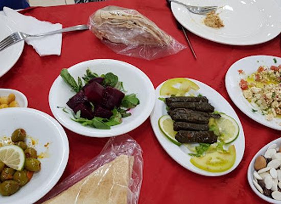 lebanon/akkar/restaurant/diwan-al-wadi