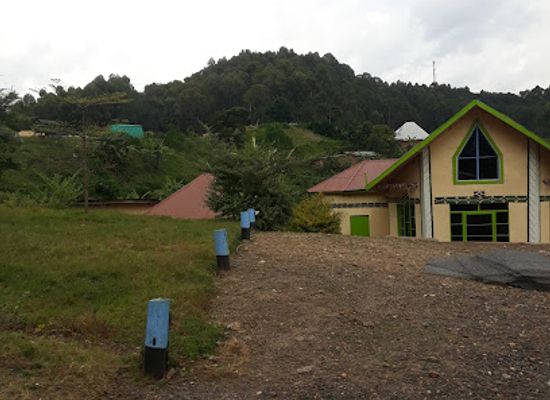 rwanda/nyungwe-forest-national-park/restaurant/nyungwe-eagle-nest