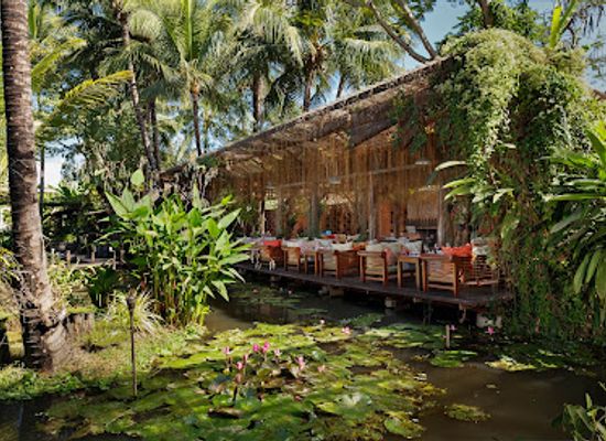 laos/khammouane-limestone-forest/restaurant/manda-de-laos