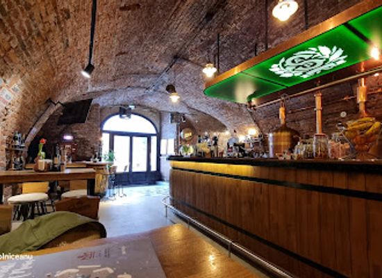 romania/alba/restaurant/czech-in-la-vizitiu