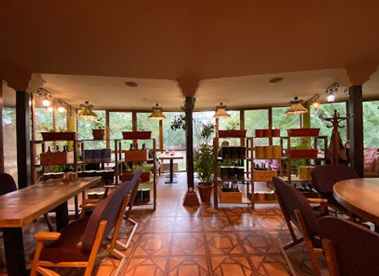 moldova/balti/restaurant/oliva