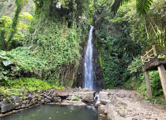 saint-vincent-and-the-grenadines/dark-view-falls/restaurant/dark-view-fall