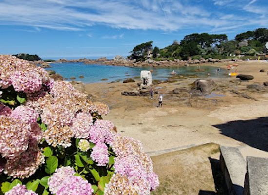 france/côte-de-granit-rose/restaurant/le-mao