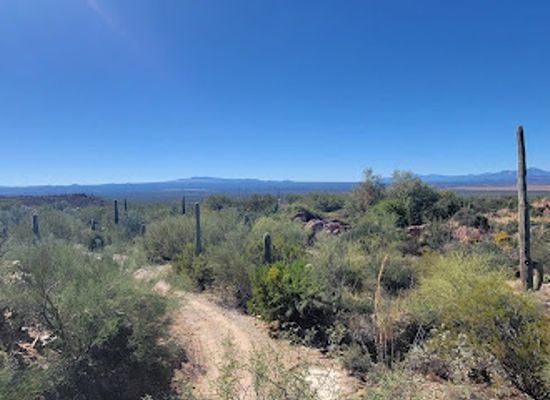 arizona/tucson-mountain-park/restaurant/ironwood-terraces-restaurant
