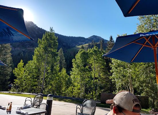 utah/snowbird/restaurant/the-atrium