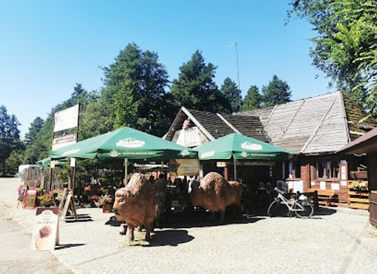 poland/białowieża-forest/restaurant/zajazd-nad-stawami-przy-parkingu-kuchnia-regionalna-dobre-domowe-jedzenie