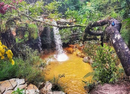 brazil/serra-da-mantiqueira/restaurant/waterfall-valley-of-the-butterflies
