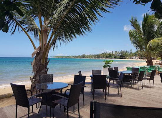 dominican-republic/las-terrenas/restaurant/one-love-surfshack-restaurant