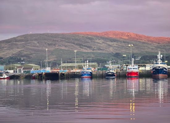 ireland/county-kerry/restaurant/murphy-s-restaurant