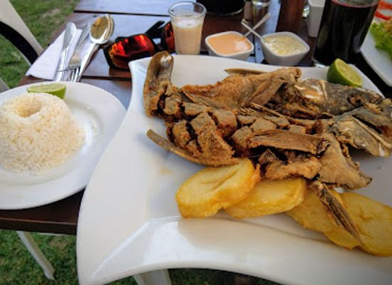 peru/nazca-lines/restaurant/limon-sazon