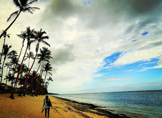 fiji/viti-levu/restaurant/yanuca-island