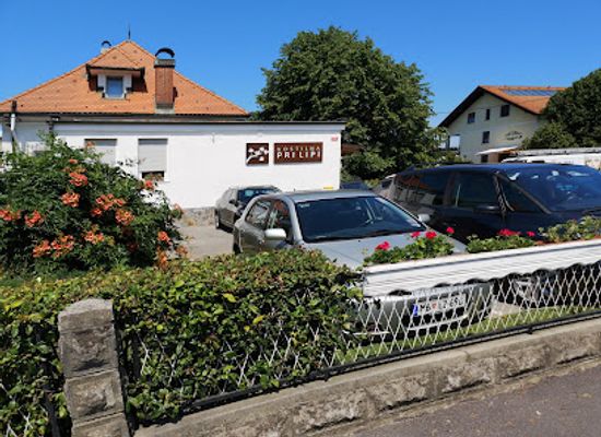 slovenia/drava/restaurant/gostilna-pri-lipi